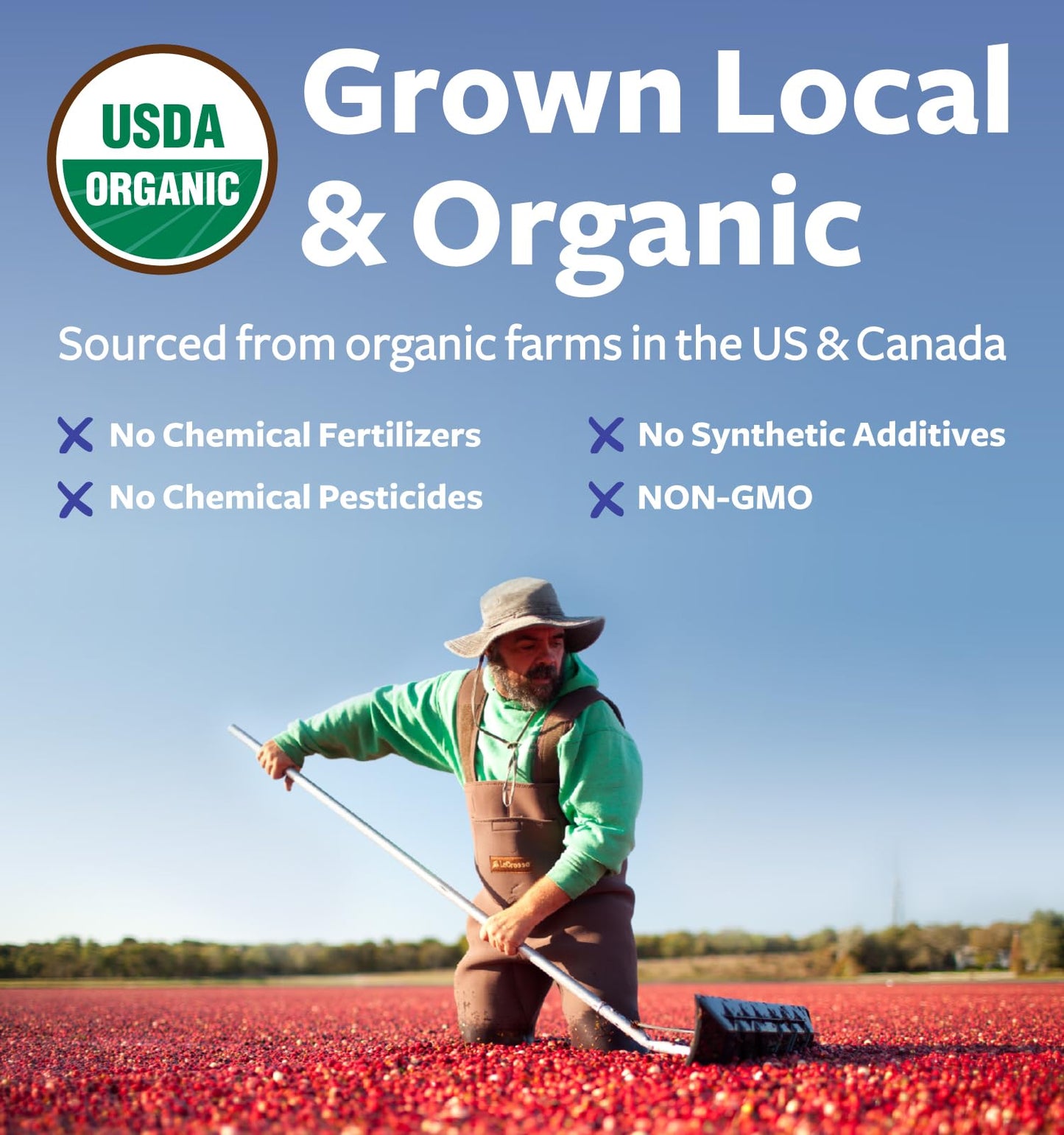 PURE CO USDA Organic Cranberry Concentrate Powder - Organic Cranberry Powder 500mg 50:1 Extract Per 1 Scoop Serving - Kidney Cleanse & Urinary Tract Support for Women - 100 Servings - PrimeBioHealth - canada supplements