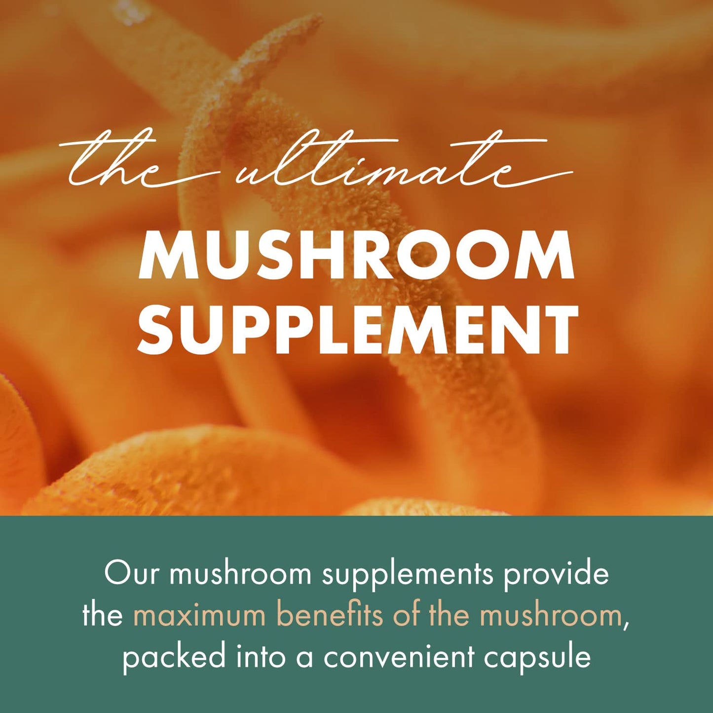 PURE ESSENCE LABS MyPure Cordyceps 4X Mushrooms - Concentrated Cordyceps Mushroom Powder Supplements for Immune System, Stress Response, Physical & Mental Performance - 2 Months Supply - PrimeBioHealth - canada supplements