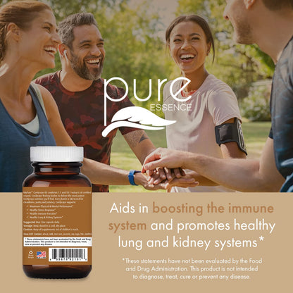PURE ESSENCE LABS MyPure Cordyceps 4X Mushrooms - Concentrated Cordyceps Mushroom Powder Supplements for Immune System, Stress Response, Physical & Mental Performance - 2 Months Supply - PrimeBioHealth - canada supplements
