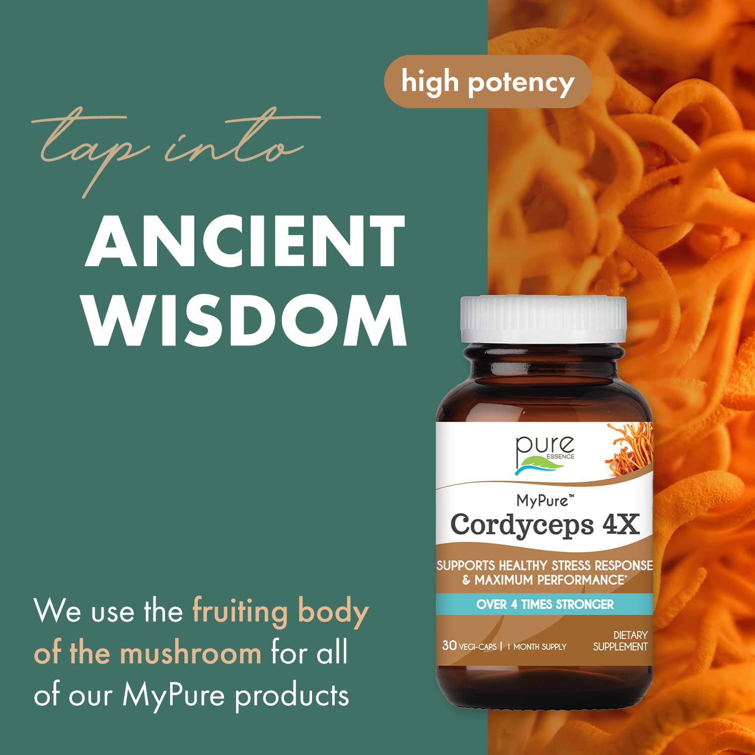 PURE ESSENCE LABS MyPure Cordyceps 4X Mushrooms - Concentrated Cordyceps Mushroom Powder Supplements for Immune System, Stress Response, Physical & Mental Performance - 2 Months Supply - PrimeBioHealth - canada supplements