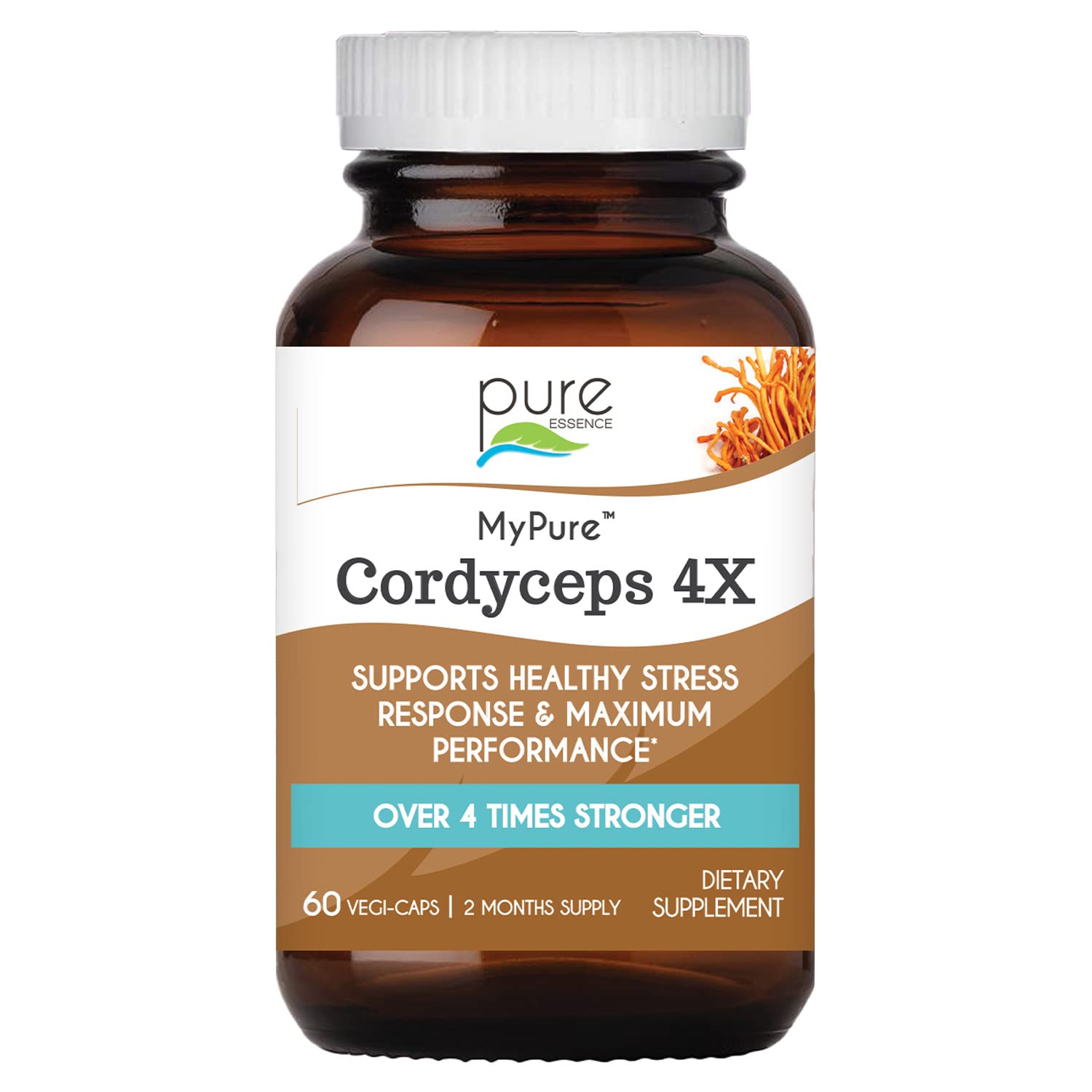 PURE ESSENCE LABS MyPure Cordyceps 4X Mushrooms - Concentrated Cordyceps Mushroom Powder Supplements for Immune System, Stress Response, Physical & Mental Performance - 2 Months Supply - PrimeBioHealth - canada supplements