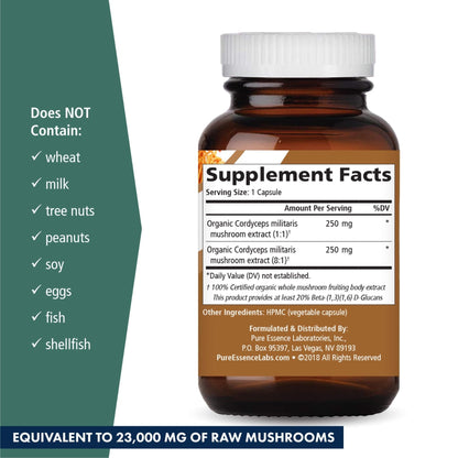 PURE ESSENCE LABS MyPure Cordyceps 4X Mushrooms - Concentrated Cordyceps Mushroom Powder Supplements for Immune System, Stress Response, Physical & Mental Performance - 2 Months Supply - PrimeBioHealth - canada supplements