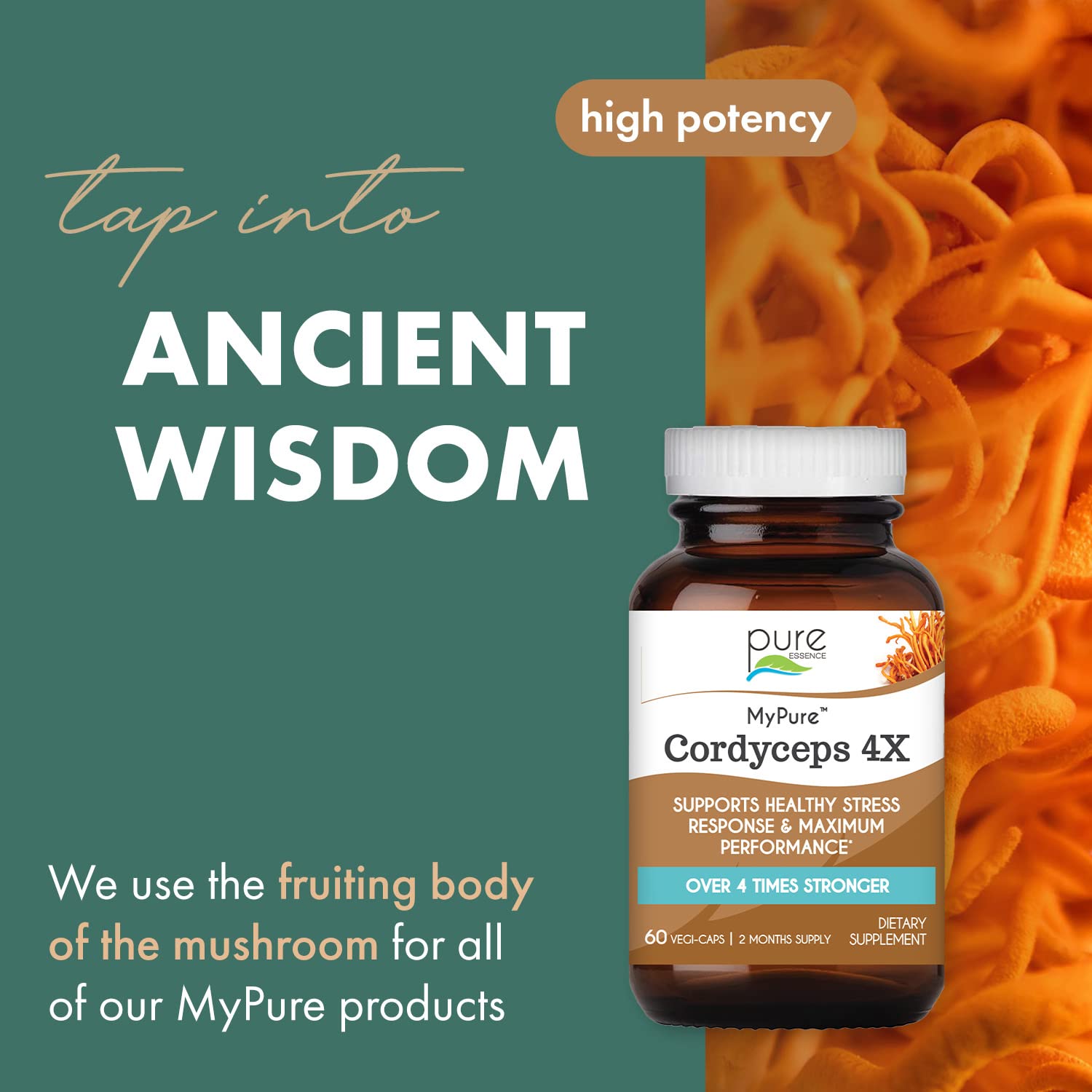 PURE ESSENCE LABS MyPure Cordyceps 4X Mushrooms - Concentrated Cordyceps Mushroom Powder Supplements for Immune System, Stress Response, Physical & Mental Performance - 2 Months Supply - PrimeBioHealth - canada supplements