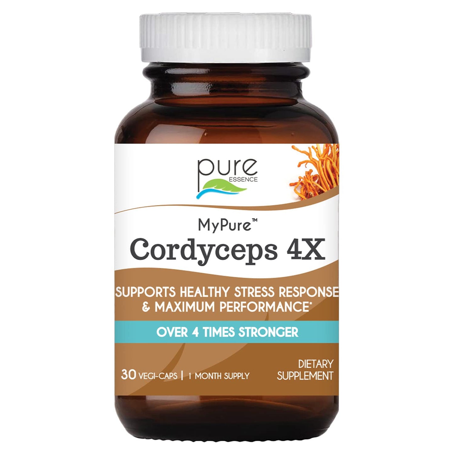 PURE ESSENCE LABS MyPure Cordyceps 4X Mushrooms - Concentrated Cordyceps Mushroom Powder Supplements for Immune System, Stress Response, Physical & Mental Performance - 2 Months Supply - PrimeBioHealth - canada supplements