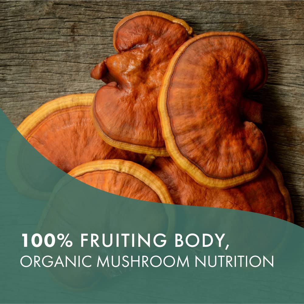 PURE ESSENCE LABS MyPure Reishi 4X Organic Mushrooms Supplement - 100% Real Mushroom Extract for Immune Support, Stress Relief, Build Energy (60 Capsules) - PrimeBioHealth - canada supplements