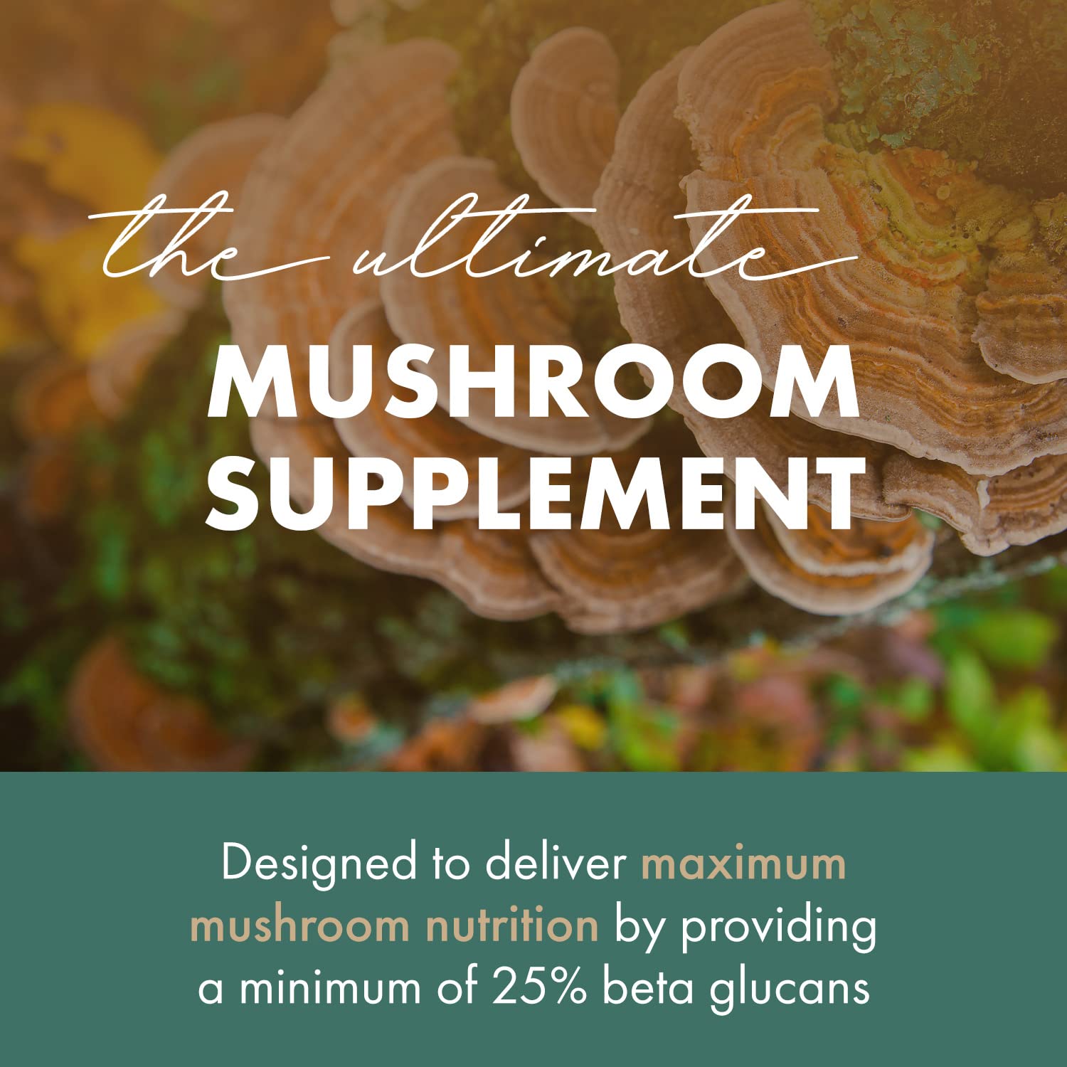 PURE ESSENCE LABS Organic Turkey Tail 4X Mushroom Extract, Vegan Mushrooms Supplement for Immune Building, 30 Capsules - PrimeBioHealth - canada supplements