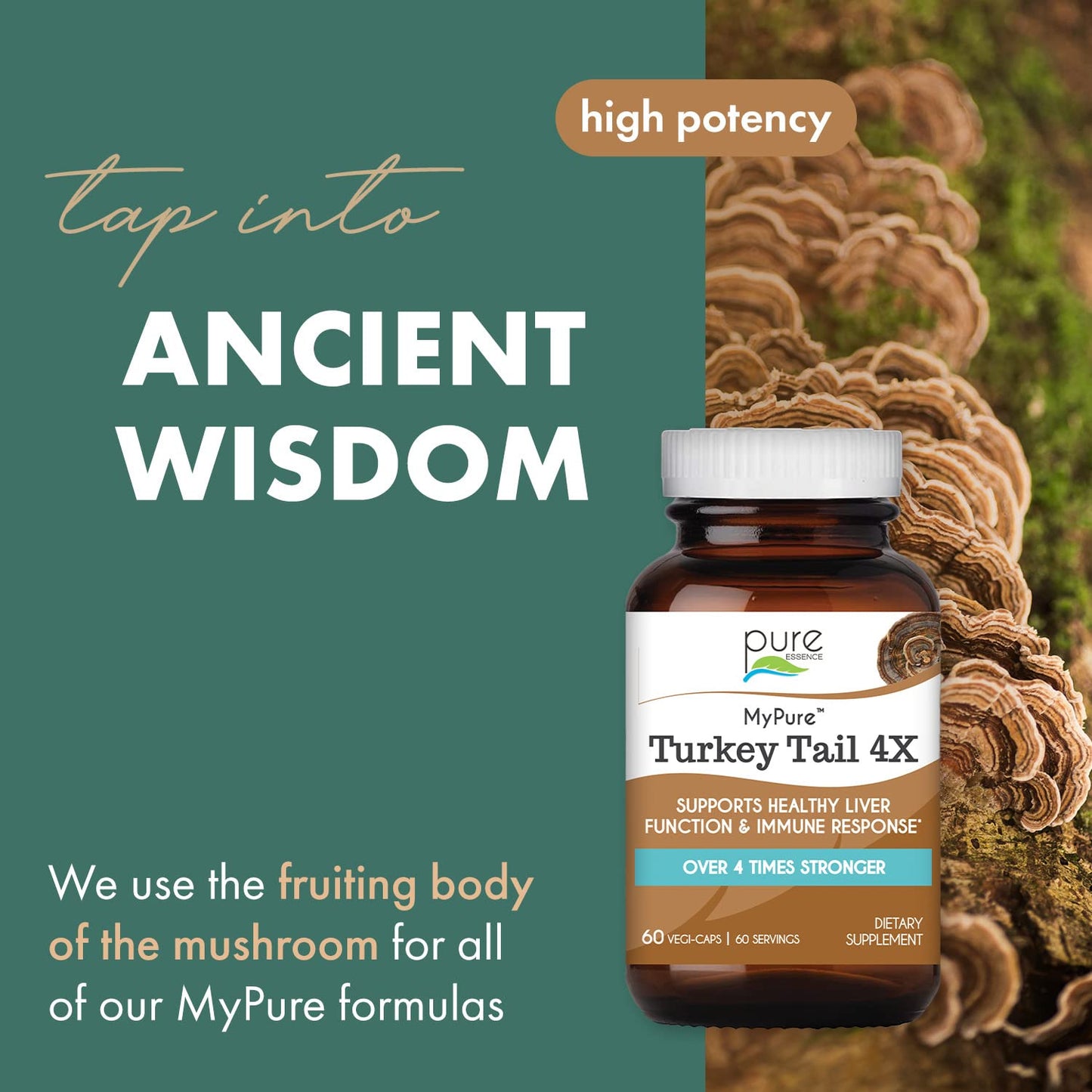 PURE ESSENCE LABS Organic Turkey Tail 4X Mushroom Extract, Vegan Mushrooms Supplement for Immune Building, 30 Capsules - PrimeBioHealth - canada supplements