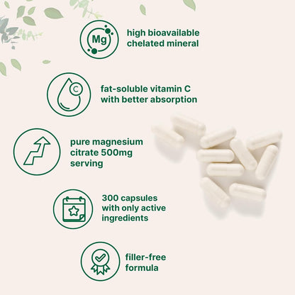 Pure Magnesium Citrate Supplements 500mg, 300 Capsules | Fat-Soluble Vitamin C Added | 100% Chelated | Only Active Ingredients - PrimeBioHealth - canada supplements