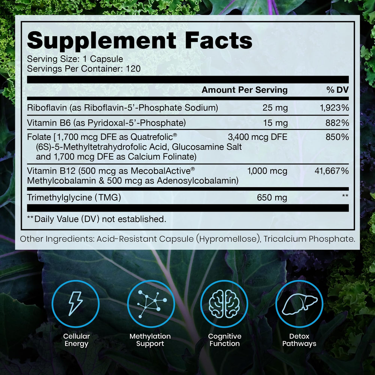 Pure Therapro Rx Methylated B Complex Vitamins Made in USA, 4 Month Supply | Methyl B Complete Quatrefolic 5-MTHF Folate, B12 Methylcobalamin, - PrimeBioHealth - canada supplements