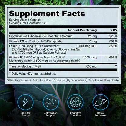 Pure Therapro Rx Methylated B Complex Vitamins Made in USA, 4 Month Supply | Methyl B Complete Quatrefolic 5-MTHF Folate, B12 Methylcobalamin, - PrimeBioHealth - canada supplements