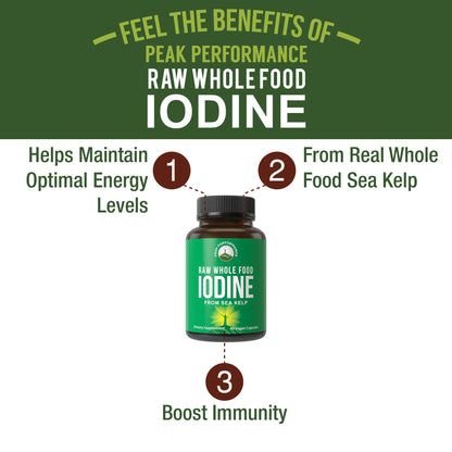 Raw Whole Food Iodine Supplement from Organic Kelp (Ascophyllum Nodosum) by Peak Performance. Potassium Iodide Support Tablets. for Metabolism, Energy, and Immune. 60 Vegan Capsules, Pills - PrimeBioHealth - canada supplements