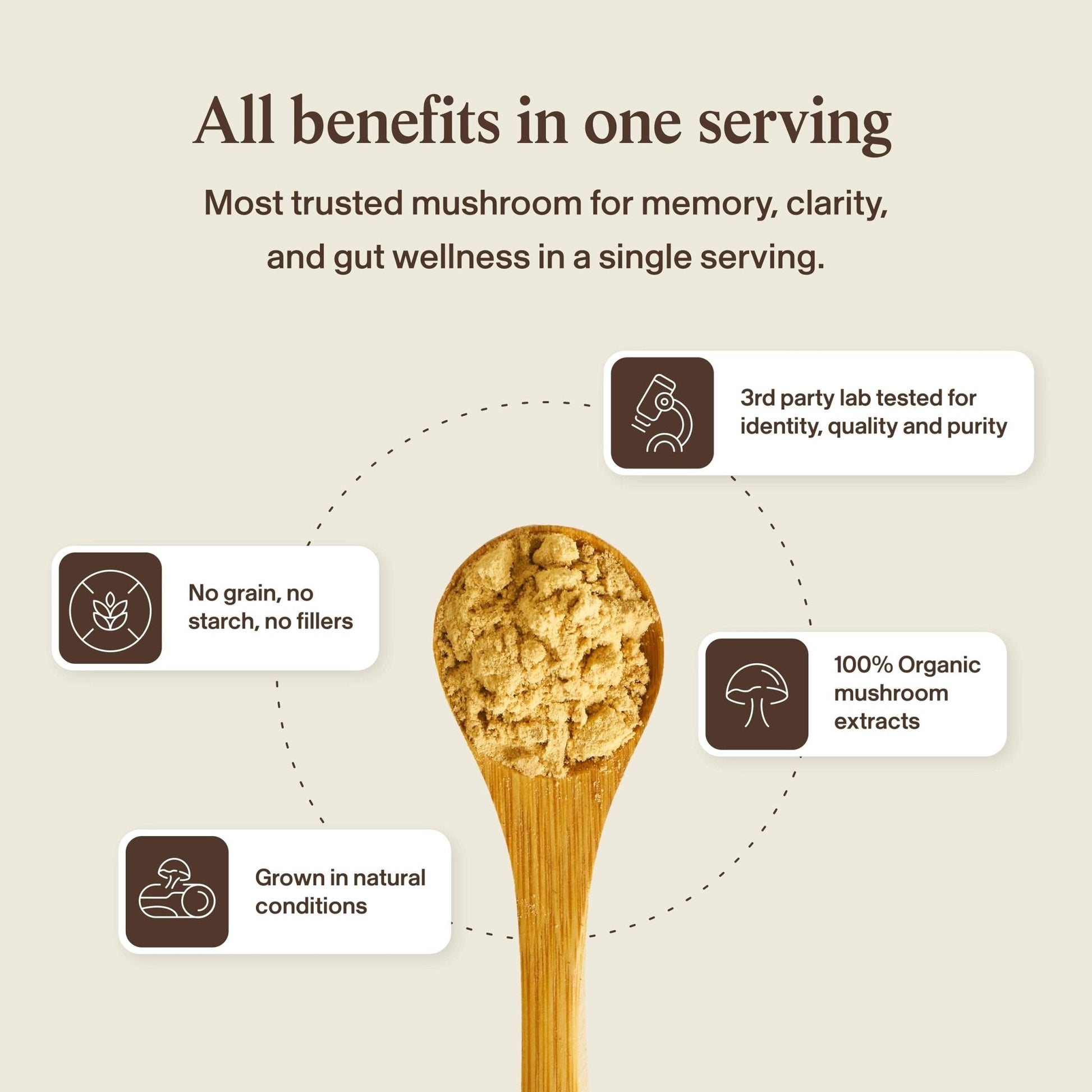 Real Mushrooms Lions Mane Mushroom Cognition (120 Capsules) Lions Mane Mushroom Powder Extract Capsules - PrimeBioHealth - canada supplements