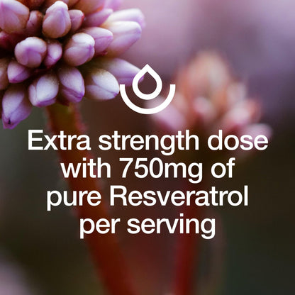 Resveratrol Supplement - Trans-resveratrol Extra Strength 750mg - Natural, Pure and Potent Polyphenols Supplement - Vegan, Non GMO, Gluten-free - 90 Capsules - PrimeBioHealth - canada supplements