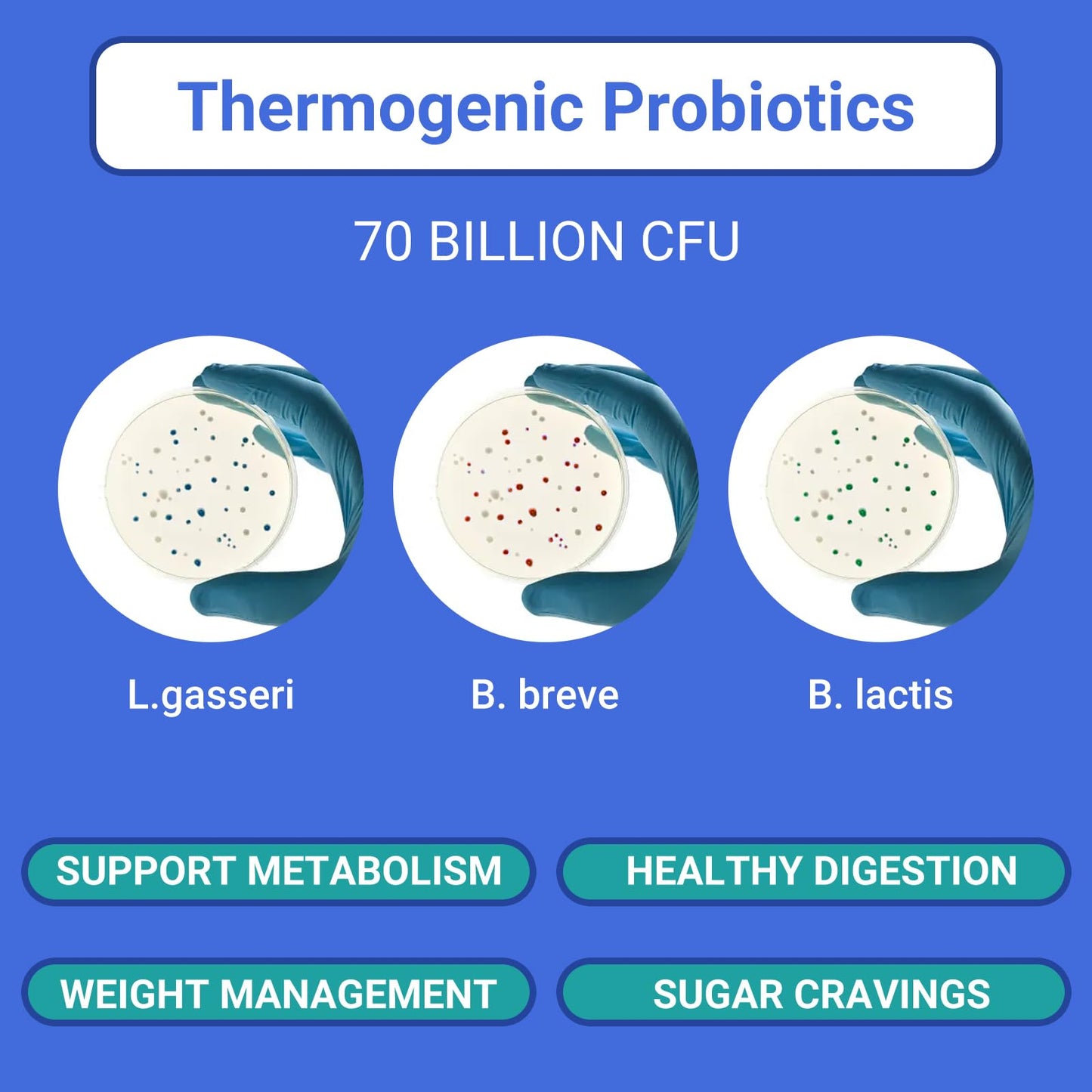 Ruolai ProBalance Probiotics for Women 68B CFU – Menopause, Bloat & Belly Support – Turmeric & Moringa - PrimeBioHealth - canada supplements
