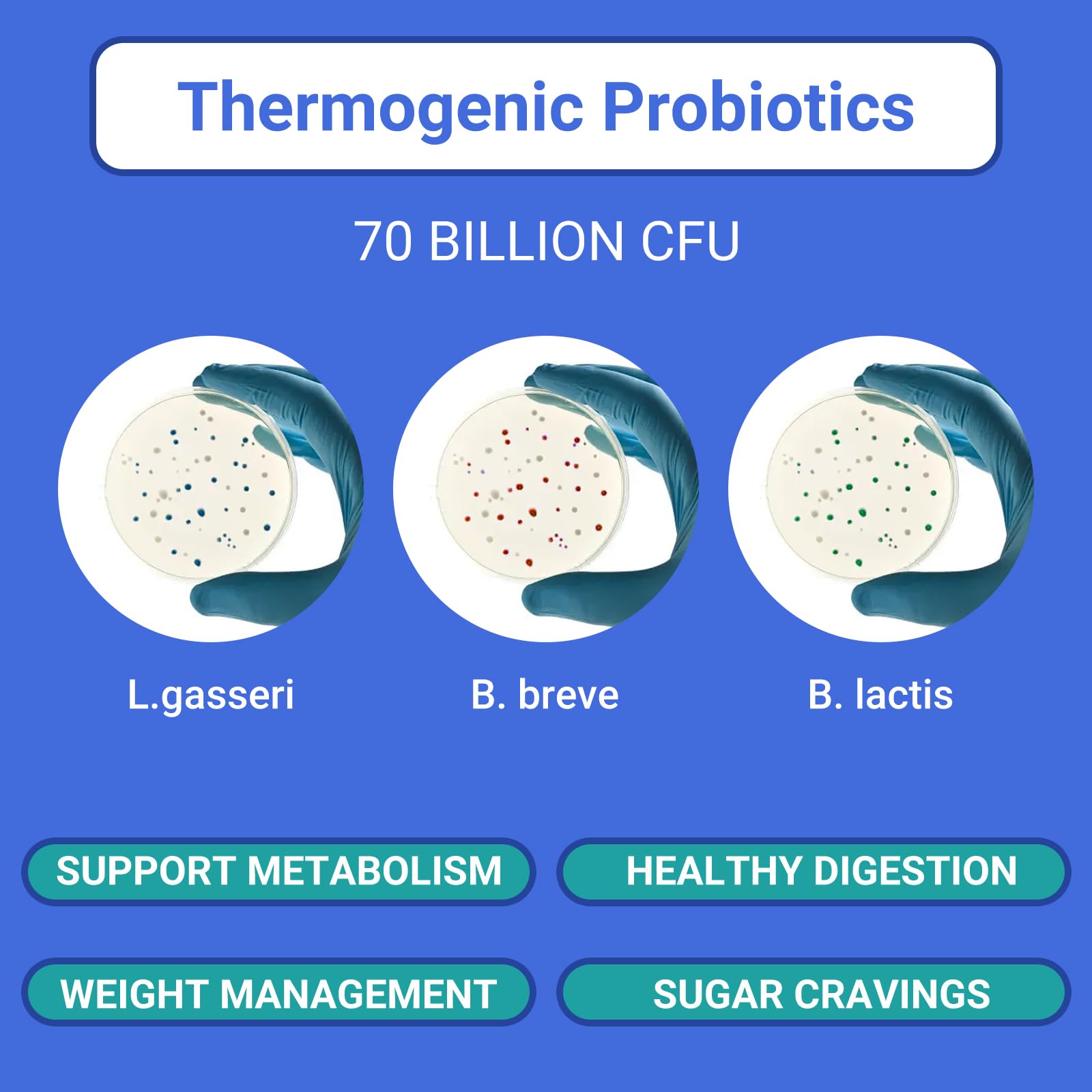 Ruolai ProBalance Probiotics for Women 68B CFU – Menopause, Bloat & Belly Support – Turmeric & Moringa - PrimeBioHealth - canada supplements