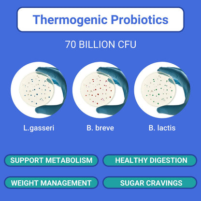 Ruolai ProBalance Probiotics for Women 68B CFU – Menopause, Bloat & Belly Support – Turmeric & Moringa - PrimeBioHealth - canada supplements