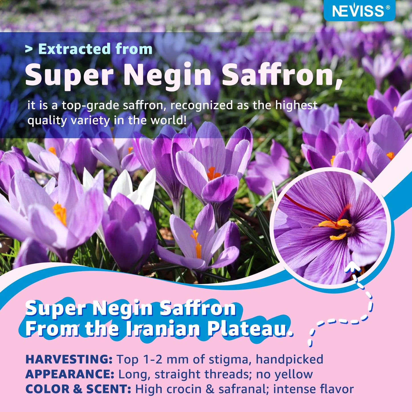 Saffron +Magnesium Glycinate +Omega-3 - Calm Focus Gummies for Kids 4+, Saffron Extract Supplement with L-Theanine, Holy Basil, Rosemary, B6, D3 for Happy Mood, Cognition, Nerve, Sugar Free, 2 Pack - PrimeBioHealth - canada supplements