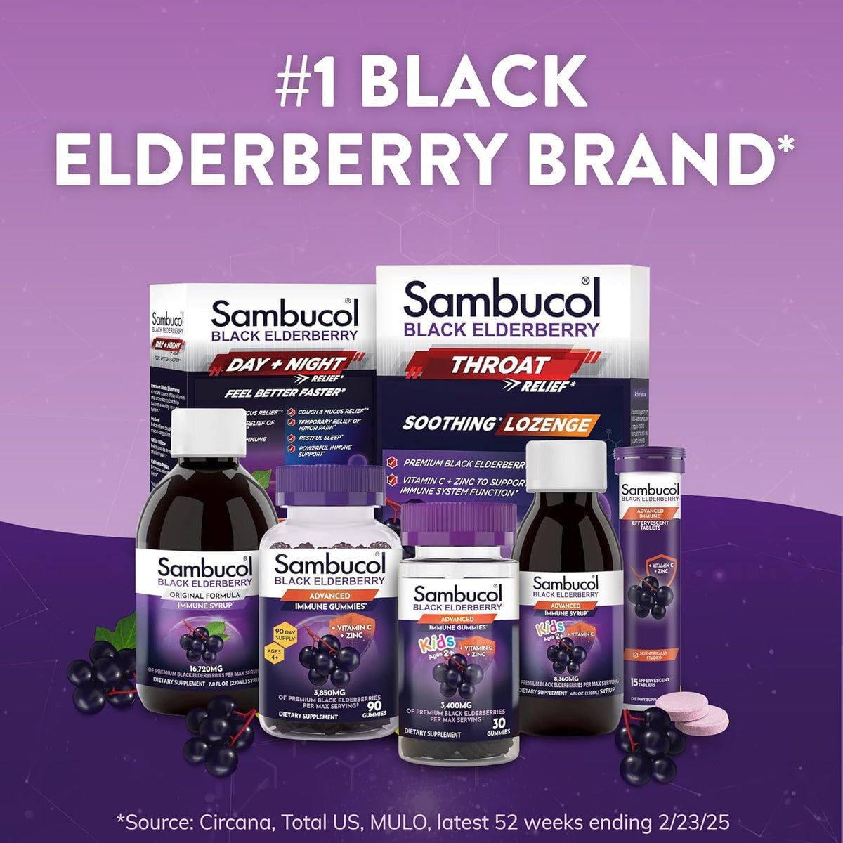 Sambucol Black Elderberry Syrup - Black Elderberry Liquid, Immune Support for Kids and Adults, High Antioxidants, Gluten Free - PrimeBioHealth - canada supplements