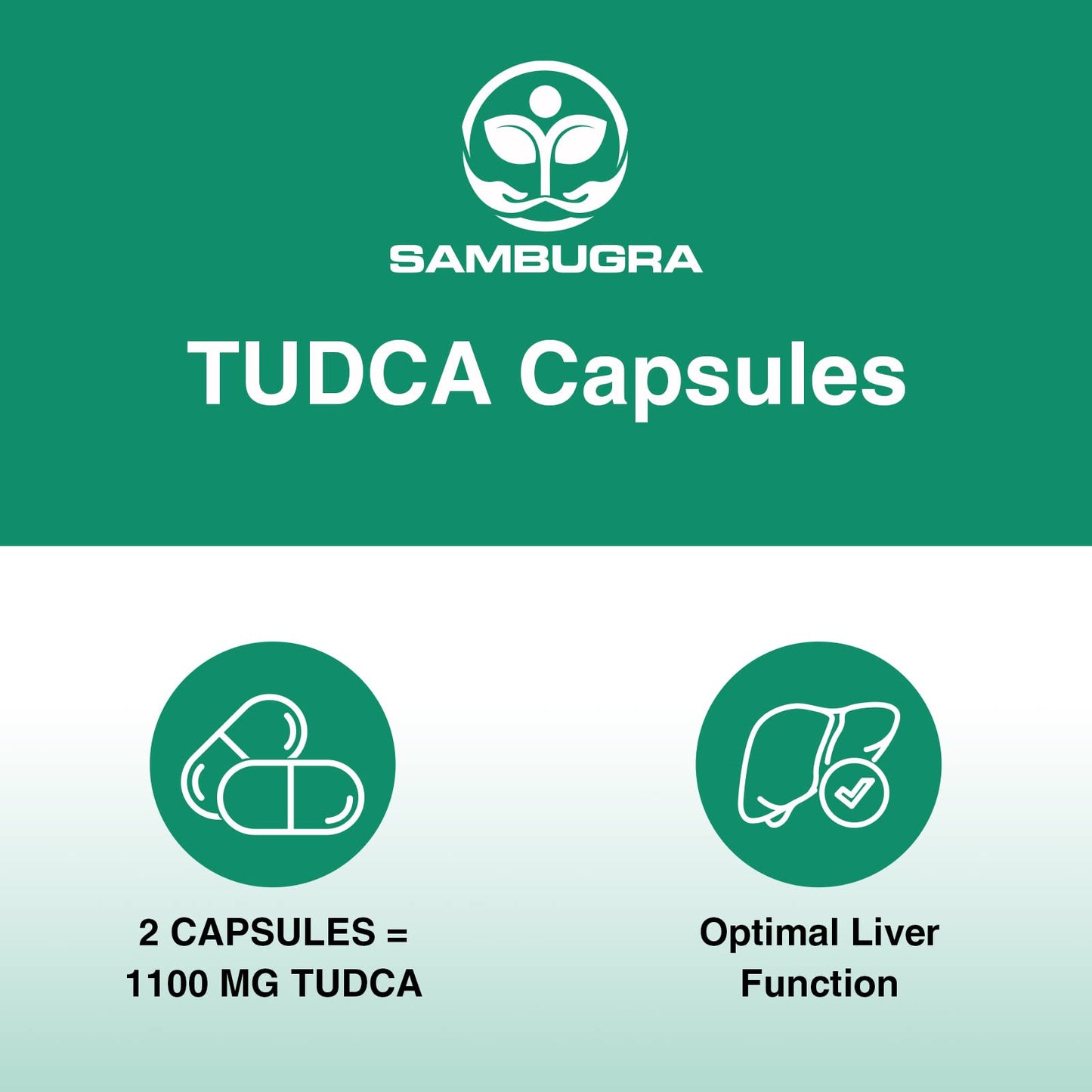 Sambugra TUDCA Liver Supplements 1100mg, 3rd Party Tested Ultra Strength Bile Salt TUDCA Supplement, Liver Support for Detox - PrimeBioHealth - canada supplements