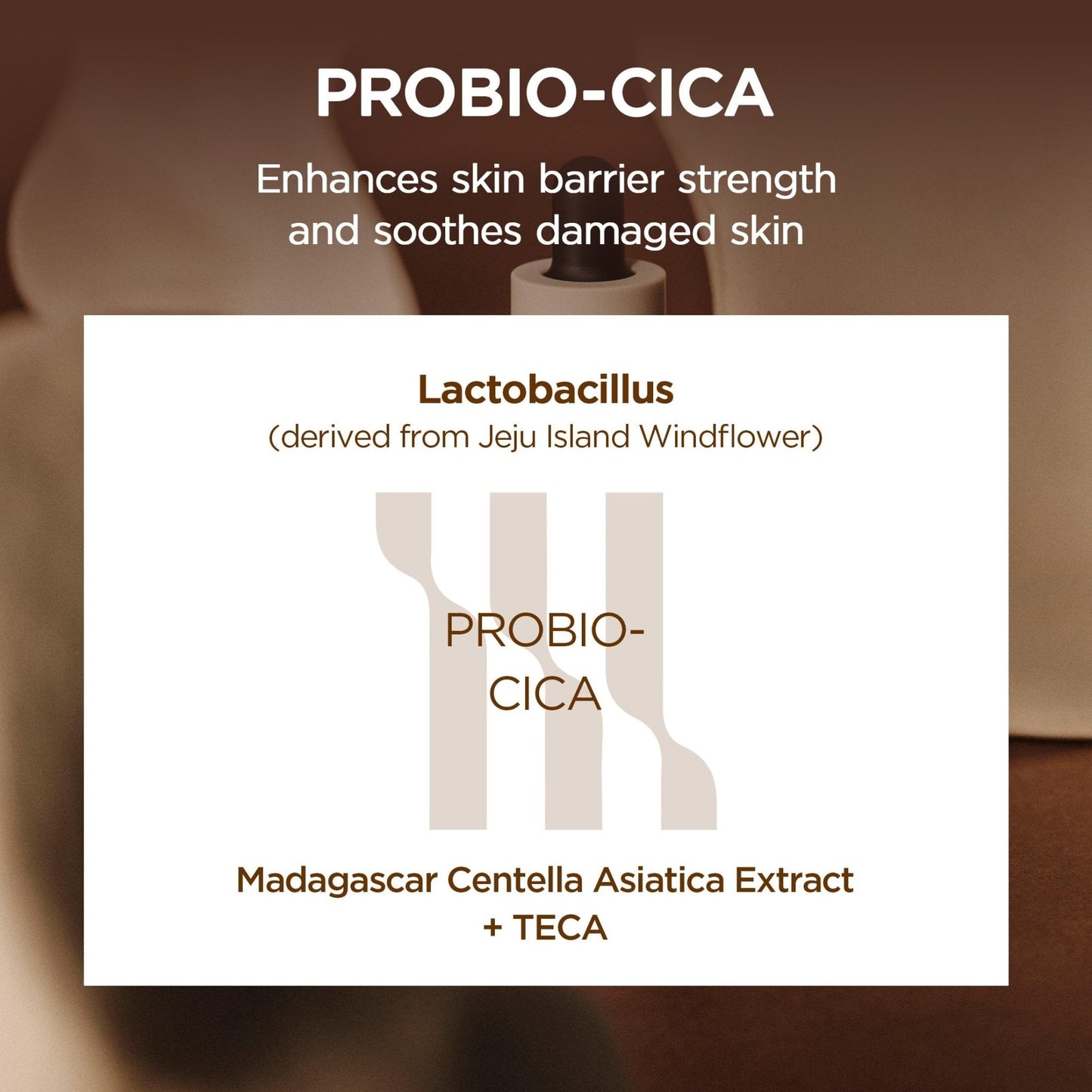 SKIN1004 Probio Cica Intensive Ampoule, Centella Serum for Face with Ceramide, Facial Serum for Nourishing & Soothing, Centella Ampoule - PrimeBioHealth - canada supplements