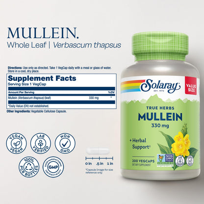 SOLARAY Mullein Leaf 330 mg - Soothing Herbal Support - Mullein Capsules Traditionally Used to Support Health and Wellness - Vegan, Non-GMO, Lab Verified, 60-Day Guarantee, 100 Servings, 100 VegCaps - PrimeBioHealth - canada supplements