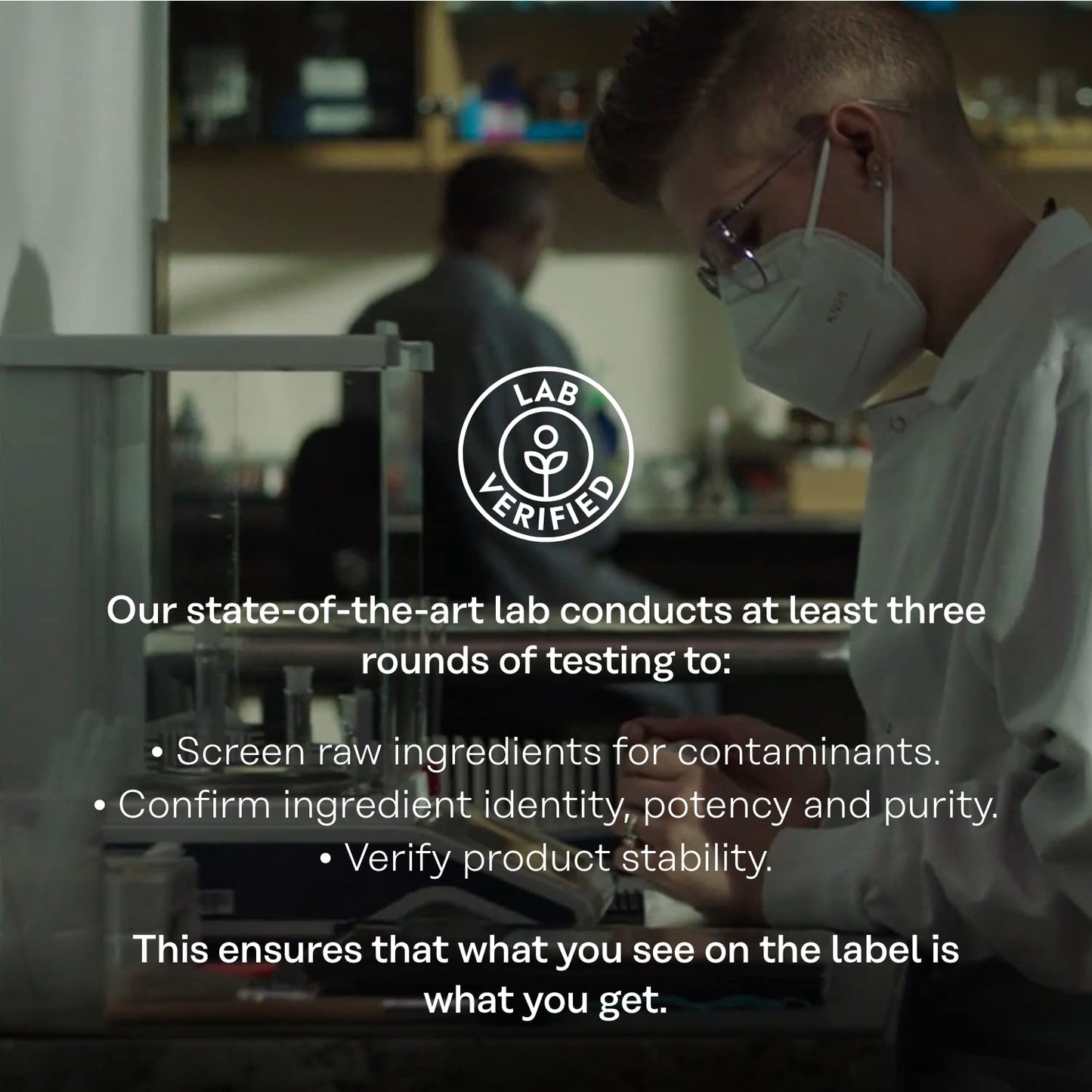 SOLARAY Mullein Leaf 330 mg - Soothing Herbal Support - Mullein Capsules Traditionally Used to Support Health and Wellness - Vegan, Non-GMO, Lab Verified, 60-Day Guarantee, 100 Servings, 100 VegCaps - PrimeBioHealth - canada supplements