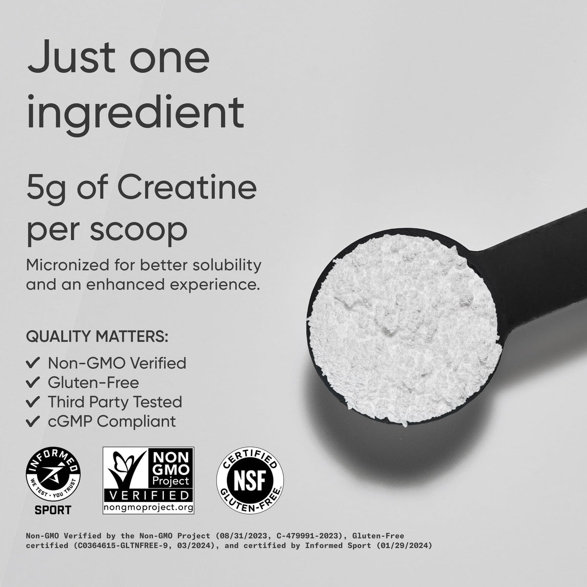 Sports Research Creatine Monohydrate - Gain Lean Muscle, Improve Performance and Strength and Support Workout Recovery - 5 g Micronized Creatine - 10.58 oz - PrimeBioHealth - canada supplements