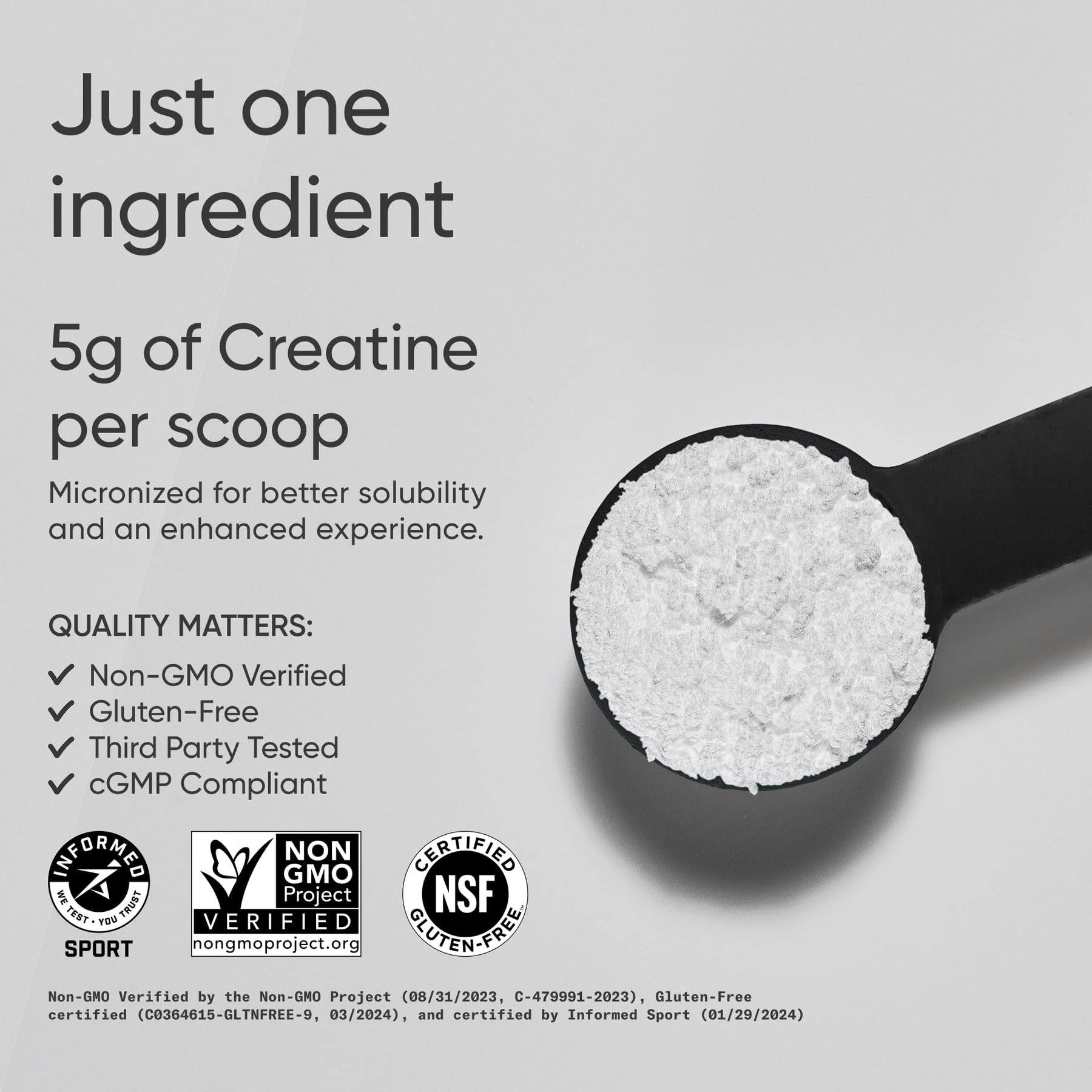 Sports Research Creatine Monohydrate - Gain Lean Muscle, Improve Performance and Strength and Support Workout Recovery - 5 g Micronized Creatine - 10.58 oz - PrimeBioHealth - canada supplements