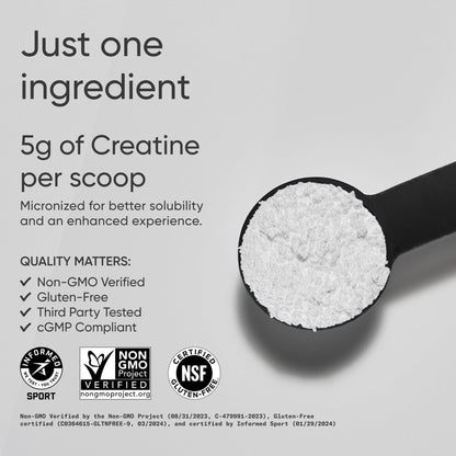 Sports Research Creatine Monohydrate - Gain Lean Muscle, Improve Performance and Strength and Support Workout Recovery - 5 g Micronized Creatine - 10.58 oz - PrimeBioHealth - canada supplements