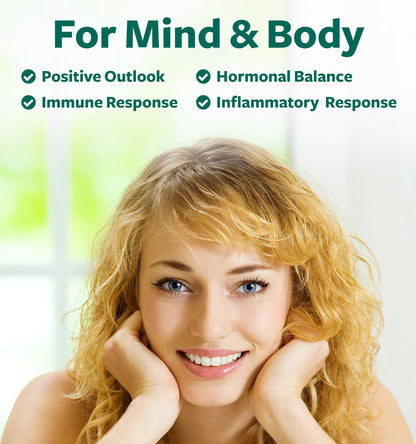 St John's Wort Capsules - Powerful & Potent Saint John's Wort Extract & Whole Herb Complex Standardized to 900mcg Hypericin for Balancing Daily Mood Support - Vegan Non-GMO & Lab Verified (120 Caps) - PrimeBioHealth - canada supplements