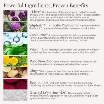 Stonehenge Health Dynamic Liver – Siliphos Milk Thistle Formula – Liver Support & Antioxidant Support, Gut-Liver Axis, Selenium, Zinc, Vitamin E, Ginger, Beetroot Extract Non-GMO, 60 Veg Caps (3 Pack) - PrimeBioHealth - canada supplements