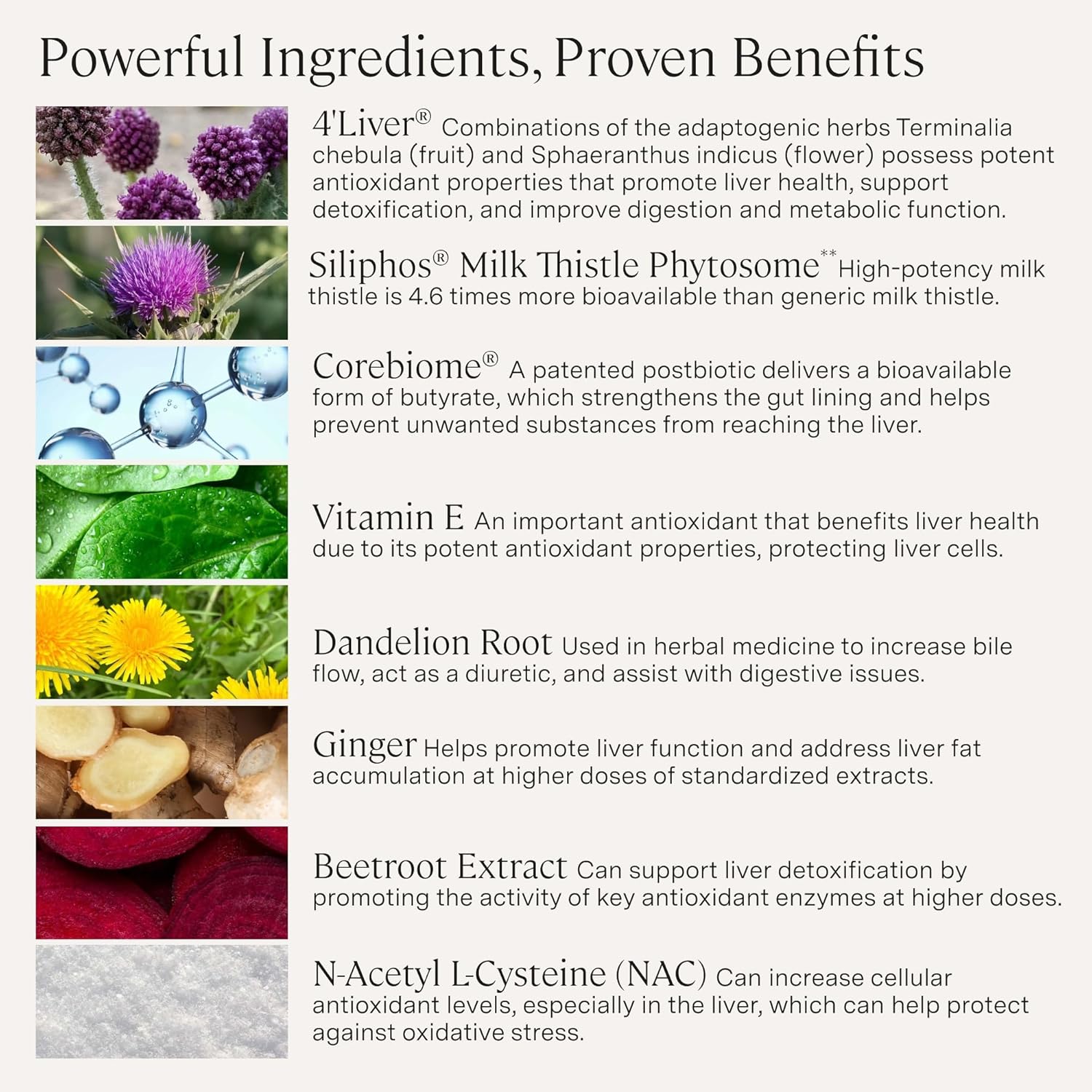 Stonehenge Health Dynamic Liver – Siliphos Milk Thistle Formula – Liver Support & Antioxidant Support, Gut-Liver Axis, Selenium, Zinc, Vitamin E, Ginger, Beetroot Extract Non-GMO, 60 Veg Caps (2 Pack) - PrimeBioHealth - canada supplements