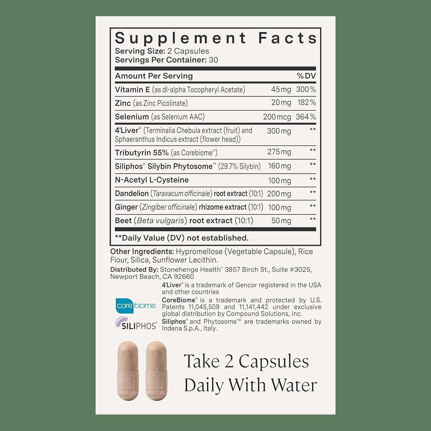 Stonehenge Health Dynamic Liver – Siliphos Milk Thistle Formula – Liver Support & Antioxidant Support, Gut-Liver Axis, Selenium, Zinc, Vitamin E, Ginger, Beetroot Extract, Non-GMO, 60 Veg Caps - PrimeBioHealth - canada supplements