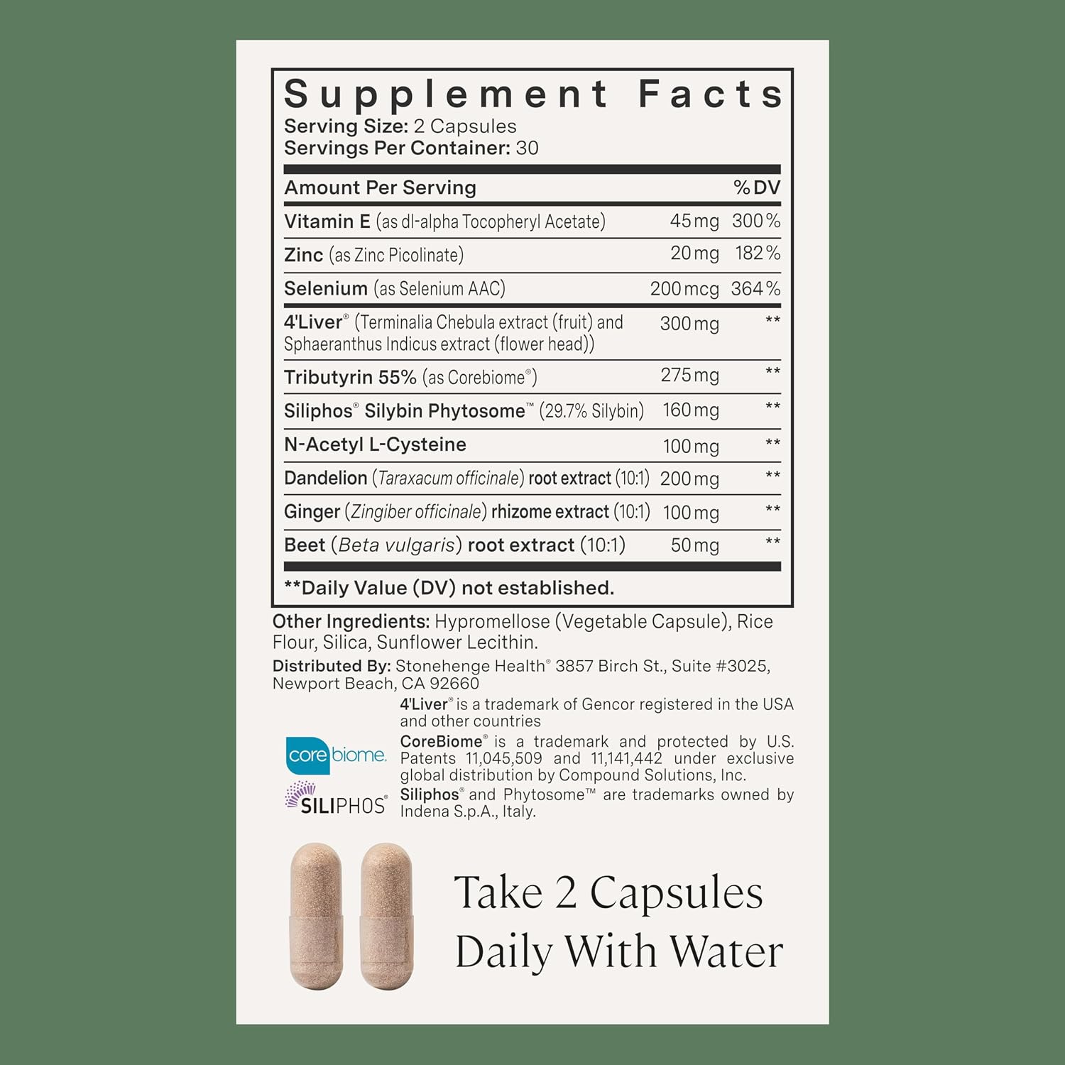 Stonehenge Health Dynamic Liver – Siliphos Milk Thistle Formula – Liver Support & Antioxidant Support, Gut-Liver Axis, Selenium, Zinc, Vitamin E, Ginger, Beetroot Extract, Non-GMO, 60 Veg Caps - PrimeBioHealth - canada supplements