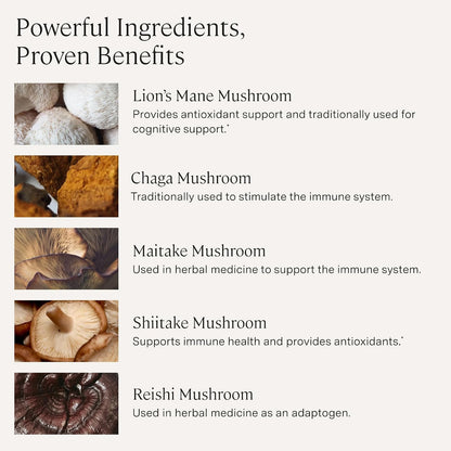 Stonehenge Health Dynamic Mushrooms 1,400 mg – 5 Mushroom Complex (Lion’s Mane, Reishi, Chaga, Maitake, Shiitake) – 100% Fruiting Bodies, – Brain, Memory, Focus & Immune Support – 60 Caps (3 Pack) - PrimeBioHealth - canada supplements