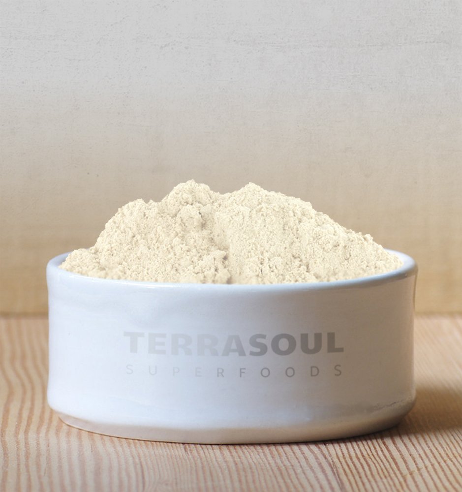 Terrasoul Superfoods Organic Psyllium Husk Powder, 1 Lb - Superfine Texture | 99% Purity | Perfect for Gluten-Free Baking | No Purple Breads - PrimeBioHealth - canada supplements