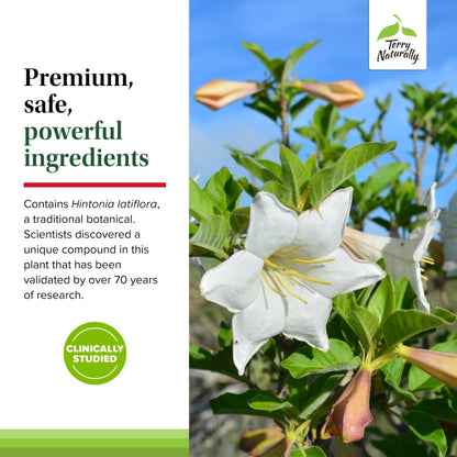 Terry Naturally Sucontral D - B-Complex & Folate Supplement - Carbohydrate Metabolism Support - Vitamin & Mineral Supplement with Zinc & Chromium - PrimeBioHealth - canada supplements