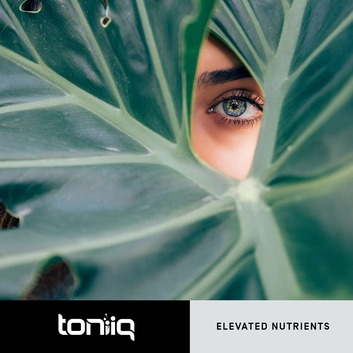 Toniiq Ultra High Purity Resveratrol Capsules - 98% Trans-Resveratrol - Highly Purified and Bioavailable - 60 Caps Reservatrol Supplement - PrimeBioHealth - canada supplements