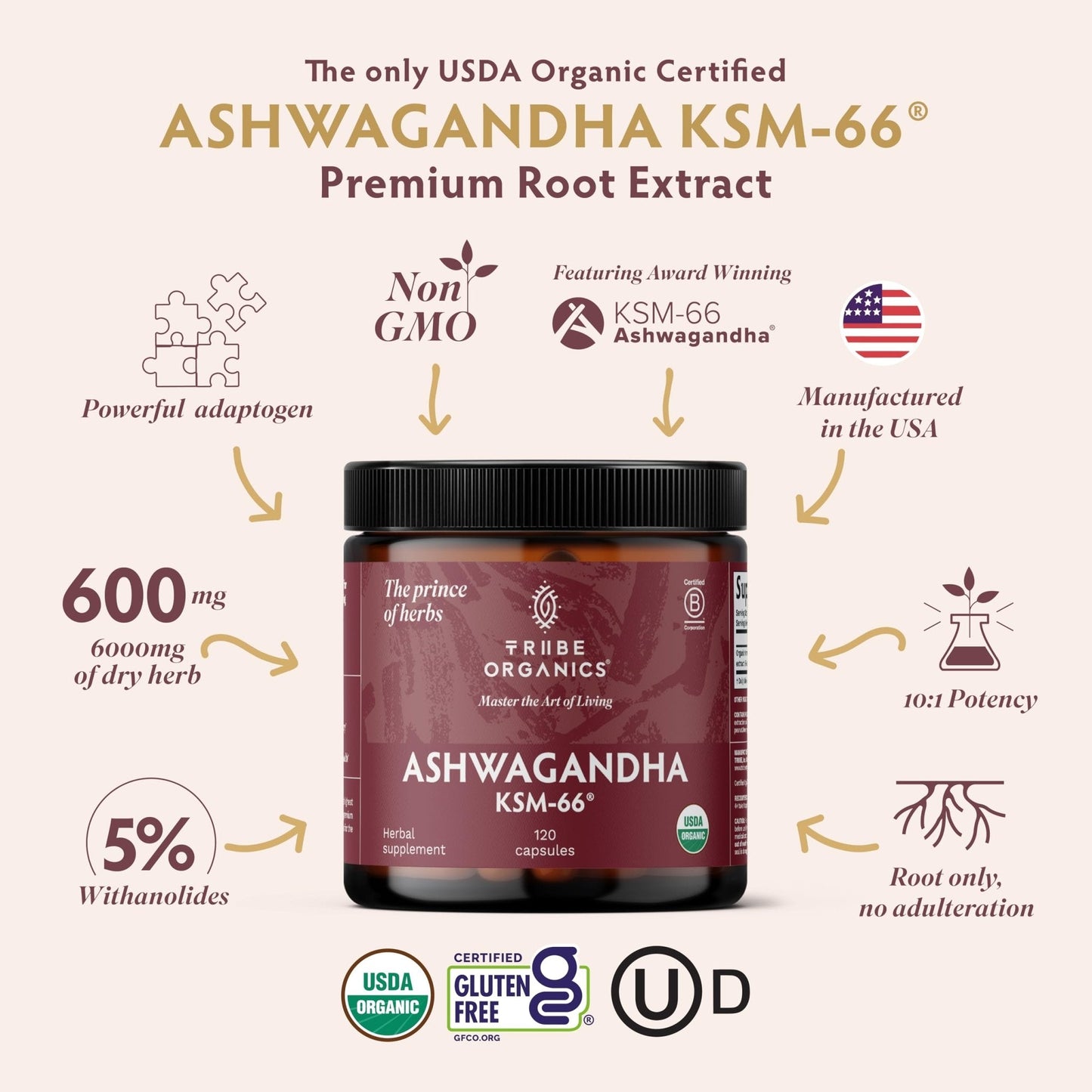 TRIBE ORGANICS Ashwagandha KSM 66 Pure Organic Root Powder Extract Ayurvedic Supplement - Focus, Mood Support, Increase Energy, Strength, 600mg of Natural KSM66 - PrimeBioHealth - canada supplements