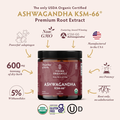 TRIBE ORGANICS Ashwagandha KSM 66 Pure Organic Root Powder Extract Ayurvedic Supplement - Focus, Mood Support, Increase Energy, Strength, 600mg of Natural KSM66 - PrimeBioHealth - canada supplements