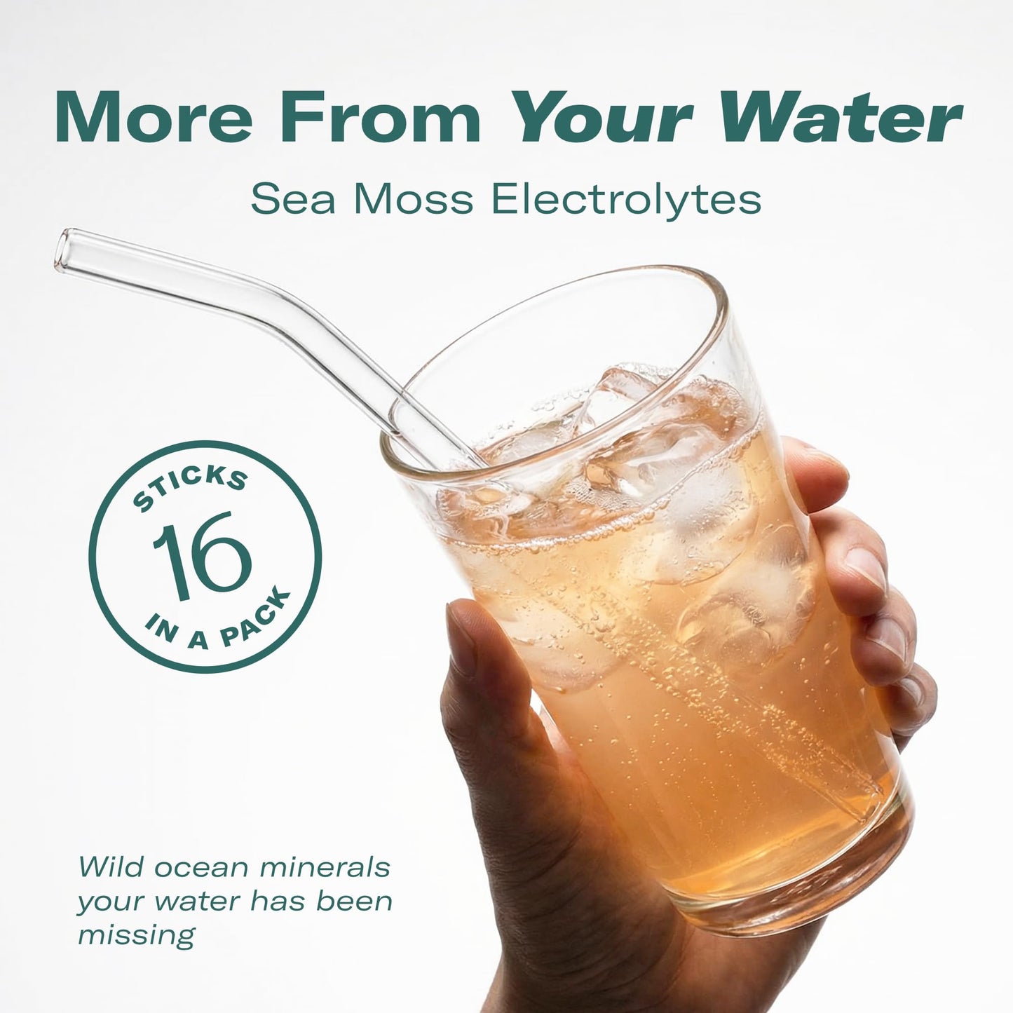 TrueSeaMoss Electrolytes Powder Packets – Made in USA – 16 Stickpacks – Hydration Powder with Sea Moss with Potassium – No Sugar Drinks – Variety Pack - PrimeBioHealth - canada supplements