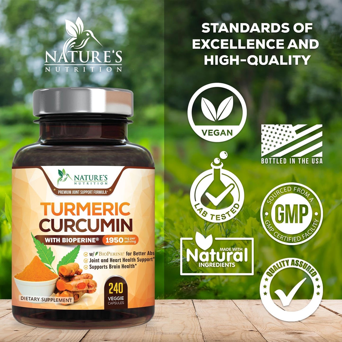 Turmeric Curcumin Supplement - 95% Curcuminoids with Organic Turmeric & BioPerine Black Pepper for Best Absorption - Daily Joint & Immune Health Support - PrimeBioHealth - canada supplements