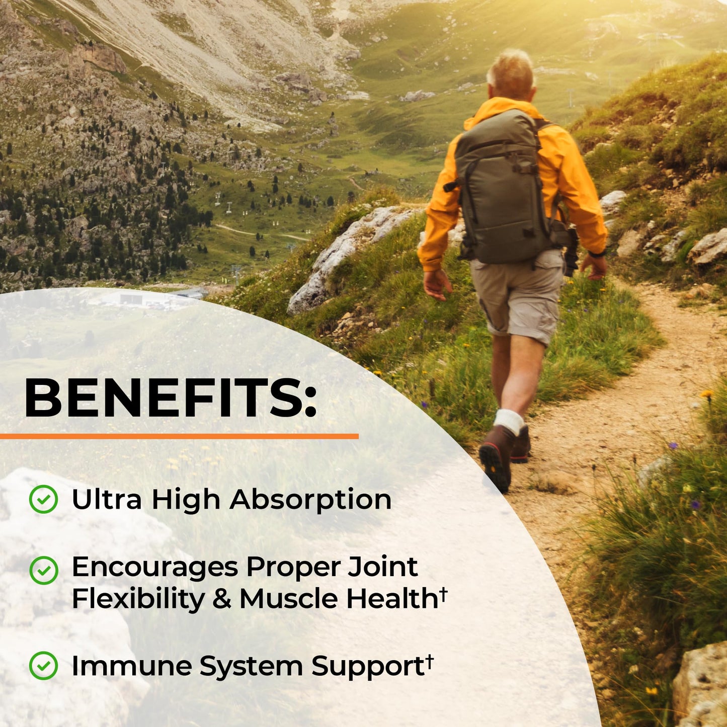 Turmeric Curcumin with Black Pepper Extract 1500mg - High Absorption Ultra Potent Turmeric Supplement with 95% Curcuminoids and BioPerine - PrimeBioHealth - canada supplements