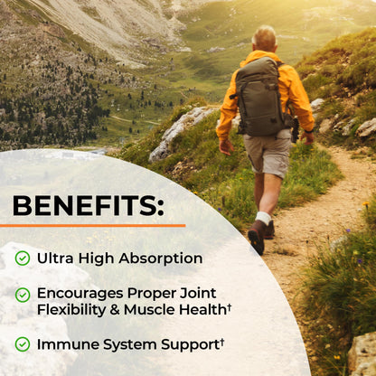 Turmeric Curcumin with Black Pepper Extract 1500mg - High Absorption Ultra Potent Turmeric Supplement with 95% Curcuminoids and BioPerine - PrimeBioHealth - canada supplements