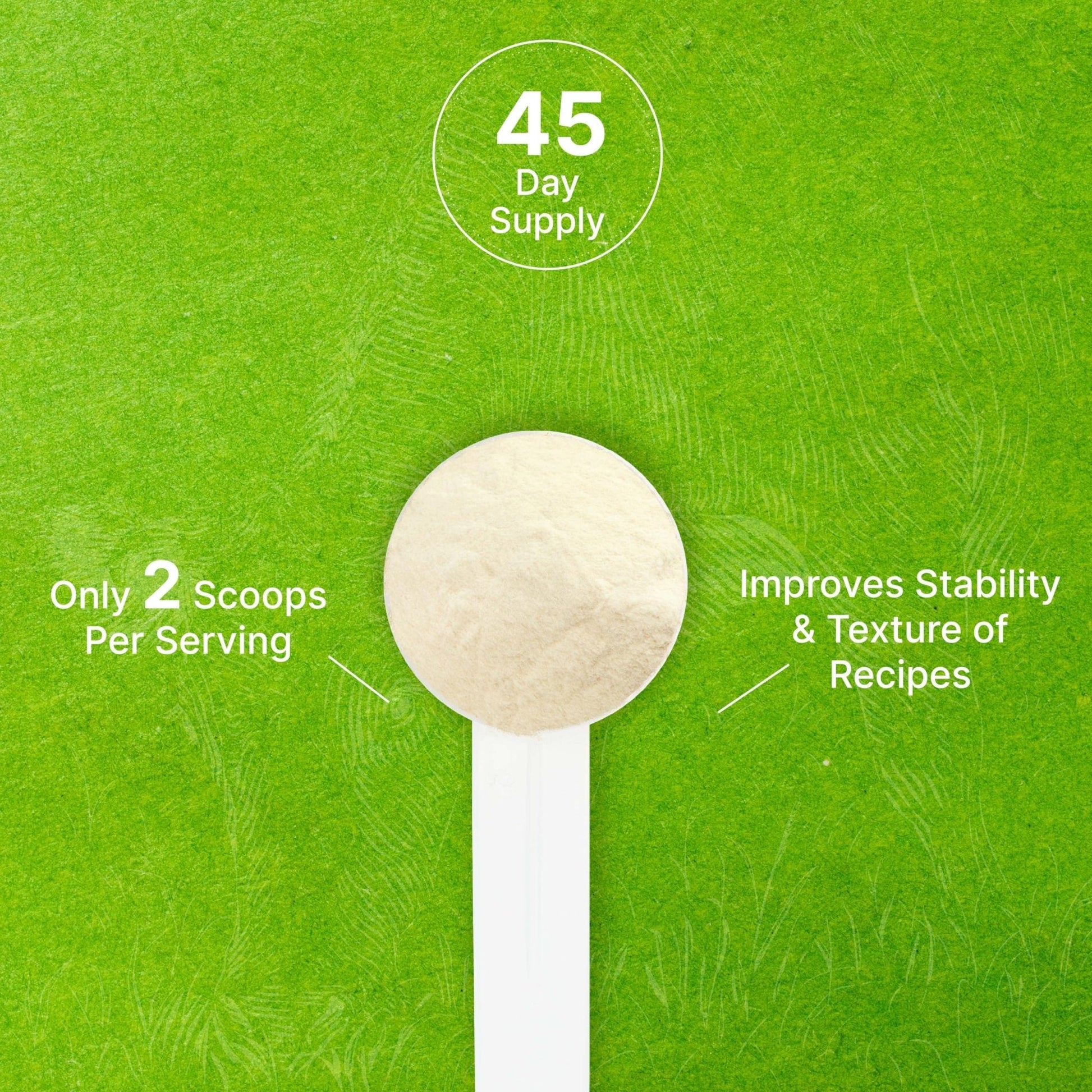 Unflavored Beef Gelatin Powder, 1lb – Grass Fed & Pasture Raised Bovine – Natural Thickener & Stabilizer for Cooking & Baking – High Collagen Protein Source – Non-GMO, Keto Friendly - PrimeBioHealth - canada supplements
