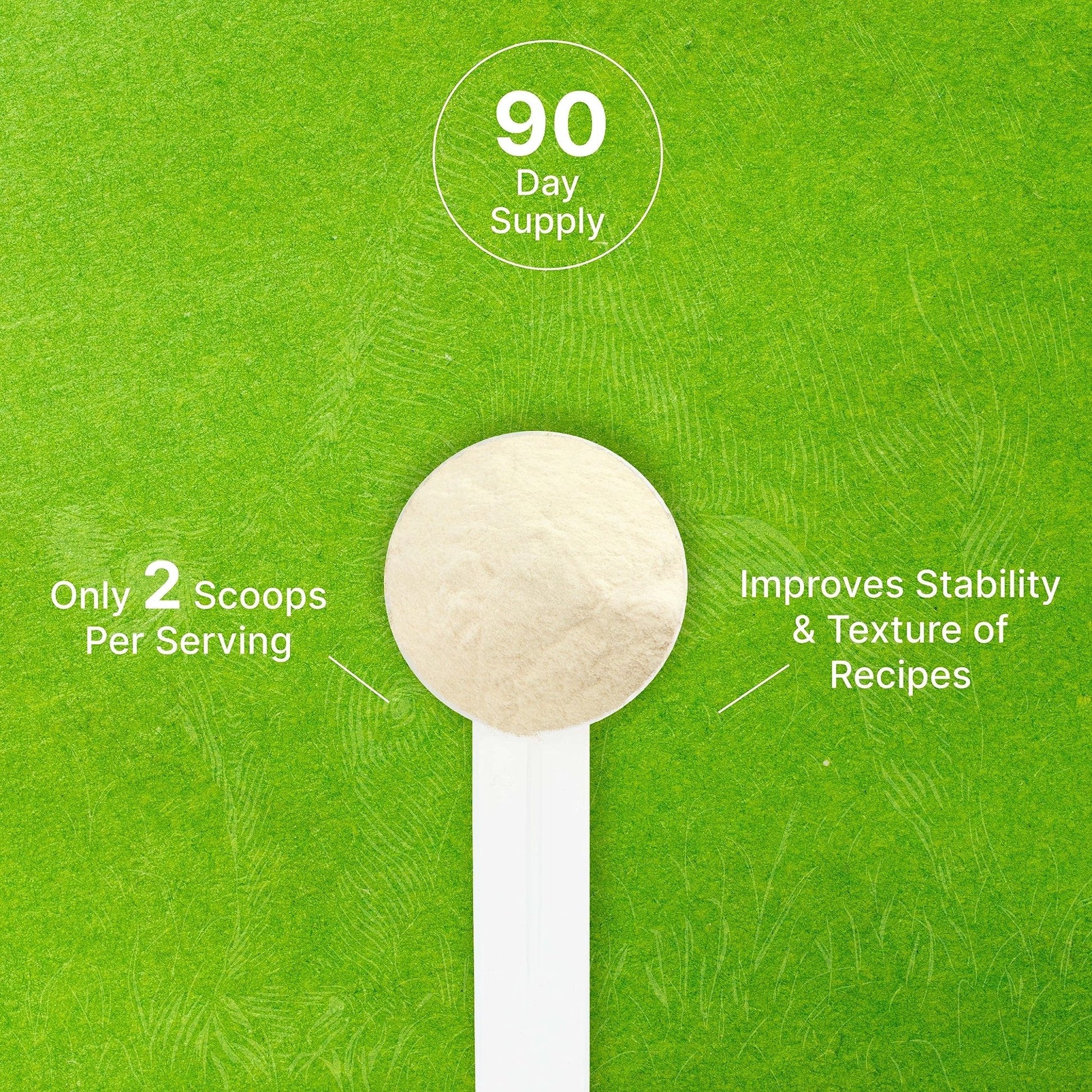 Unflavored Beef Gelatin Powder, 1lb – Grass Fed & Pasture Raised Bovine – Natural Thickener & Stabilizer for Cooking & Baking – High Collagen Protein Source – Non-GMO, Keto Friendly - PrimeBioHealth - canada supplements