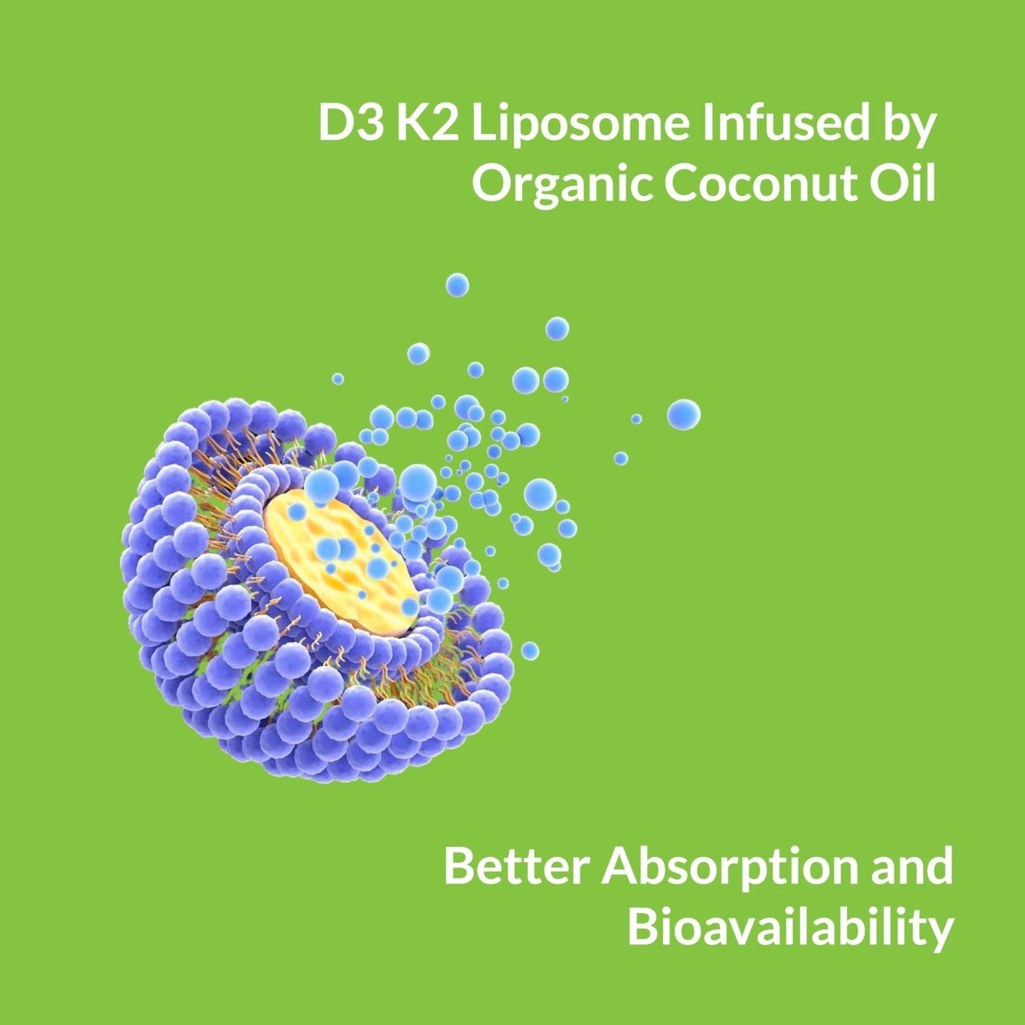 UpNourish Liposomal D3 K2 MK-7 – 365 Mini softgels with Organic Coconut Oil - 5000 IU 125 mcg Vitamin D3 and 100 mcg Vitamin k2 for Optimal Bone and Immune Health - PrimeBioHealth - canada supplements