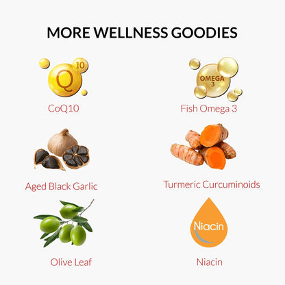 UpNourish Plant Sterols Citrus Bergamot Supplement with CoQ10, Omega 3, Olive Leaf, Turmeric Curcumin, Black Garlic and Niacin - 120 Softgels - PrimeBioHealth - canada supplements