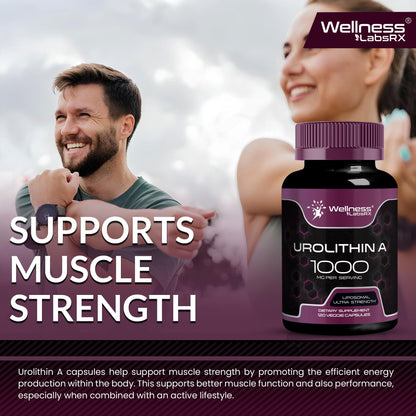 Urolithin A Supplement Capsules 1,000mg (98.9% Pure) – Advanced Urolithin A+ Formula for Cellular Renewal & Mitochondrial Support - PrimeBioHealth - canada supplements