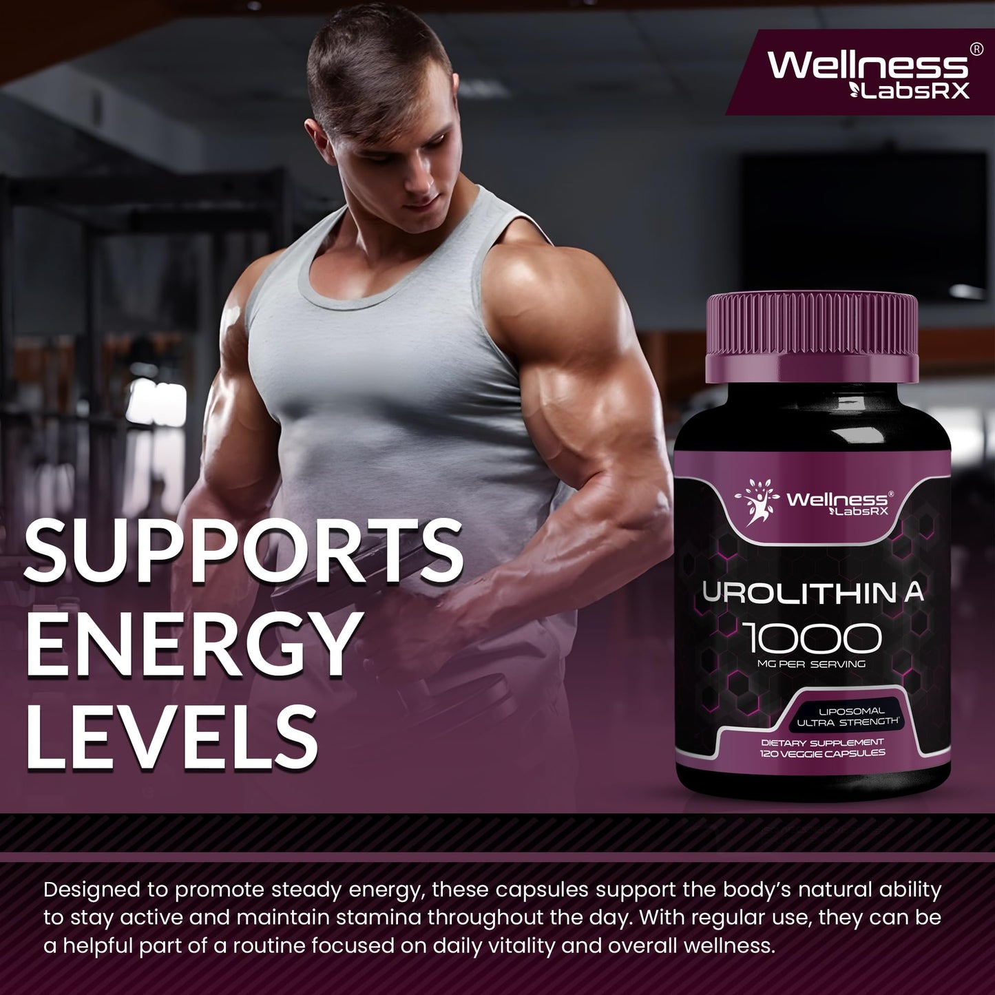 Urolithin A Supplement Capsules 1,000mg (98.9% Pure) – Advanced Urolithin A+ Formula for Cellular Renewal & Mitochondrial Support - PrimeBioHealth - canada supplements